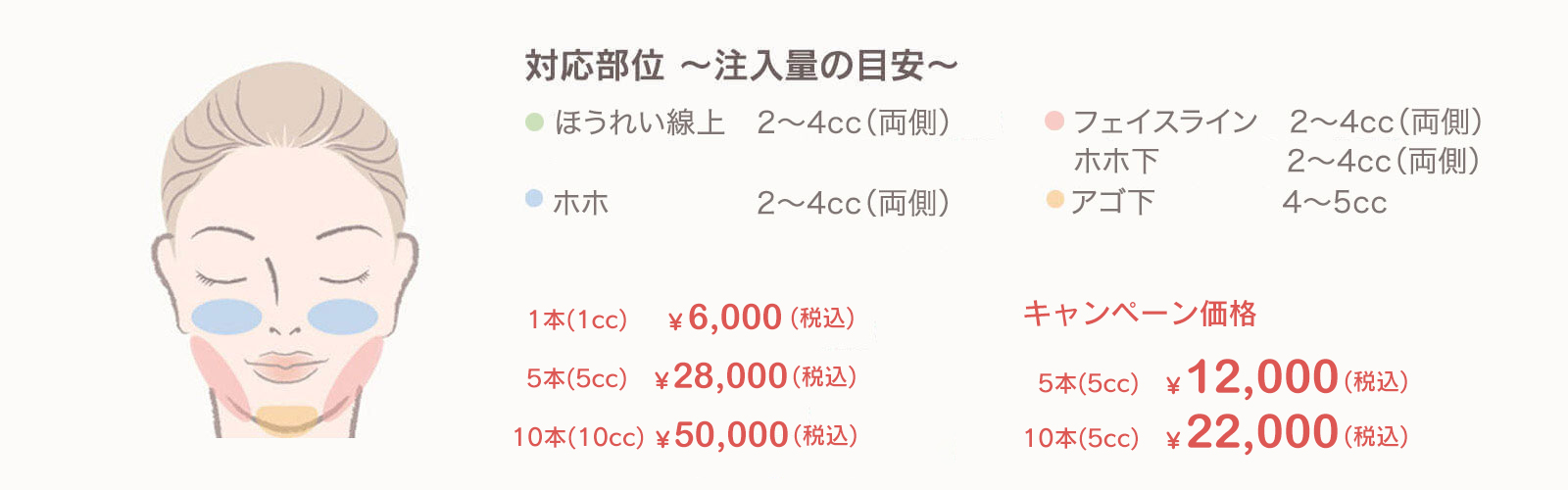 対応部位 〜注入の目安〜 フェイスライン 4cc〜8cc（両側） エラ 4cc〜8cc（両側） 下頬部 4cc（両側） アゴ下 3cc〜8cc
