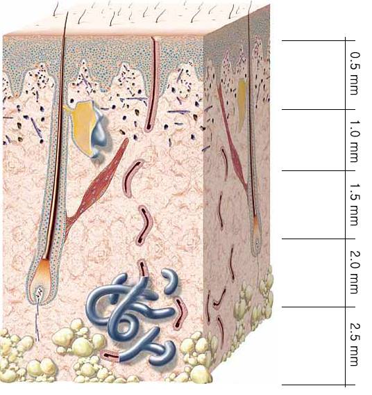 dermatology