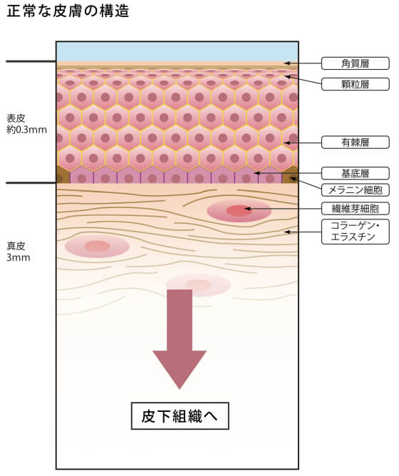dermatology